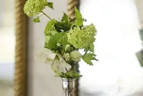 Angleterre : Hôtel The Clermont London Victoria