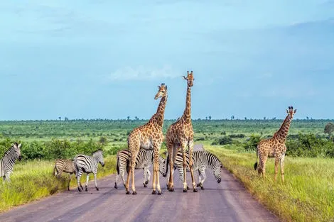 Afrique Du Sud : Autotour Clin d'Oeil Sud-Africain