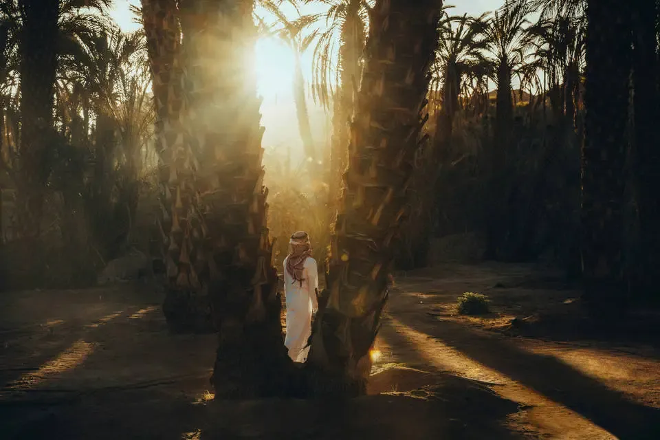 Arabie Saoudite : Autotour Lumières du désert, horizons d'Arabie