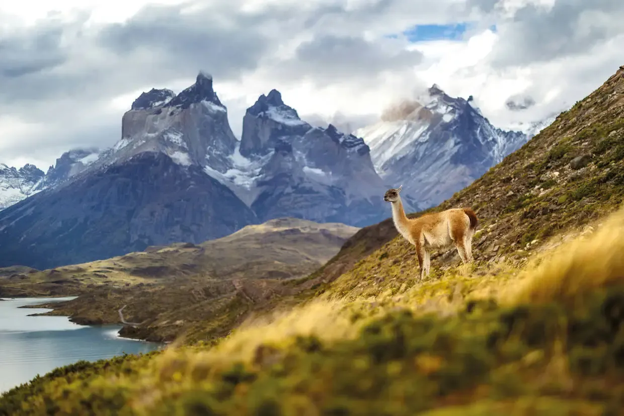Chili : Autotour De l’Atacama au bout du monde : autotour en terre chilienne