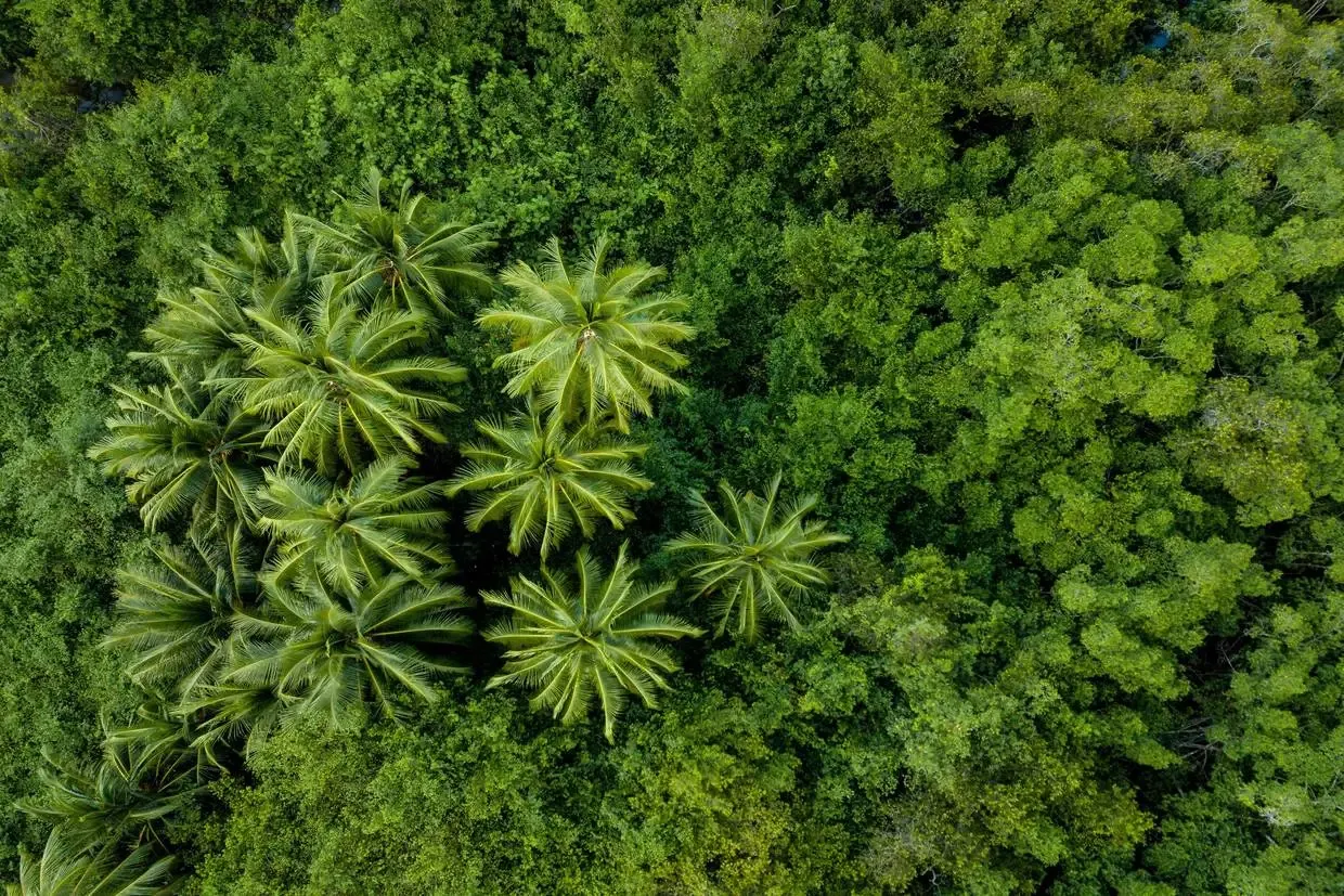 Costa Rica : Autotour Entre volcans et forêts