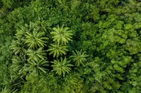 Costa Rica : Autotour Entre volcans et forêts