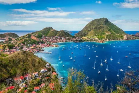 Guadeloupe : Autotour Butinez sur l'Ile Papillon