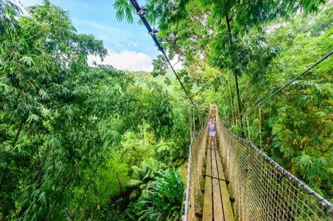 Martinique : Autotour Autotour sur un rythme créole