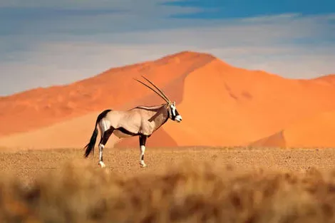 Namibie : Autotour La Namibie Sauvage en liberté