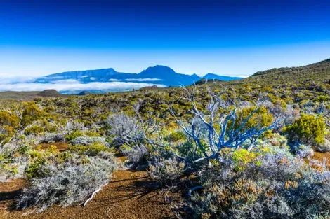 Reunion : Autotour Terre d'Ananas
