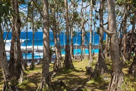 Reunion : Autotour Terre d'Azalees