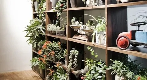 Autriche : Hôtel Daniel Vienna