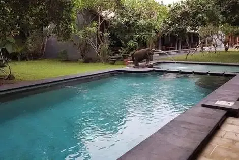 Bali : Hôtel Adys Inn