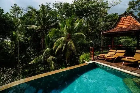 Bali : Hôtel Amatara Arya Ubud