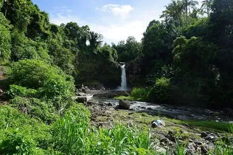 Bali : Hôtel Angel House Ubud