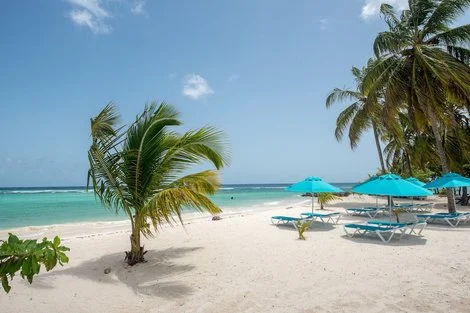 BARBADE : Hôtel The Sands Barbados