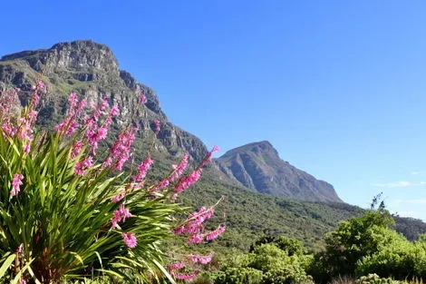 Afrique Du Sud : Circuit Du Parc Kruger au Cap de Bonne Espérance