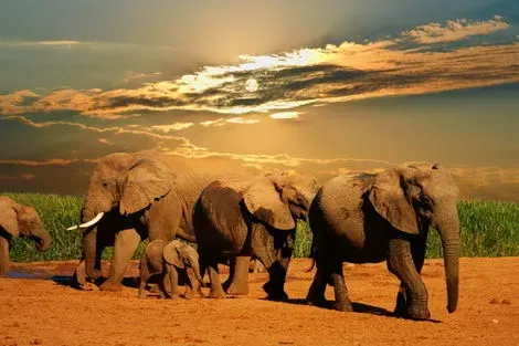 Afrique Du Sud : Circuit I love Afrique du Sud 2025