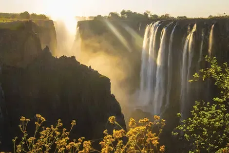 Afrique Du Sud : Circuit Terres d'Afrique Australe : de Kruger à Chobe