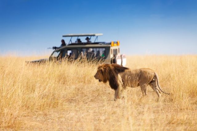 Afrique Du Sud : Circuit Paysages Sud Africains