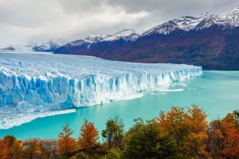 Argentine : Circuit Dans le Sillage des Grands Explorateurs : Croisière Australis - Edition 2025