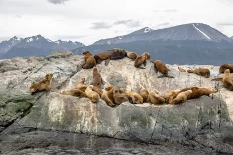 Argentine : Circuit Panoramas Latinos : de Buenos Aires à Santiago de Chile