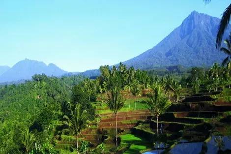 Bali : Circuit Au Coeur de Bali et Extension Prime Plaza Sanur