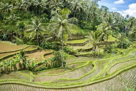 Bali : Circuit Evasion Balinaise et Lombok Authentique