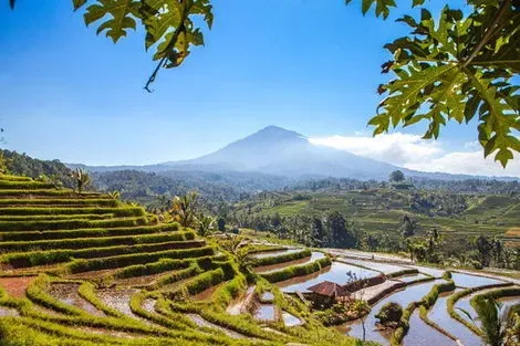 Bali : Circuit Indonésie, de Bali à Lombok (petit groupe - 6-12 pers.)