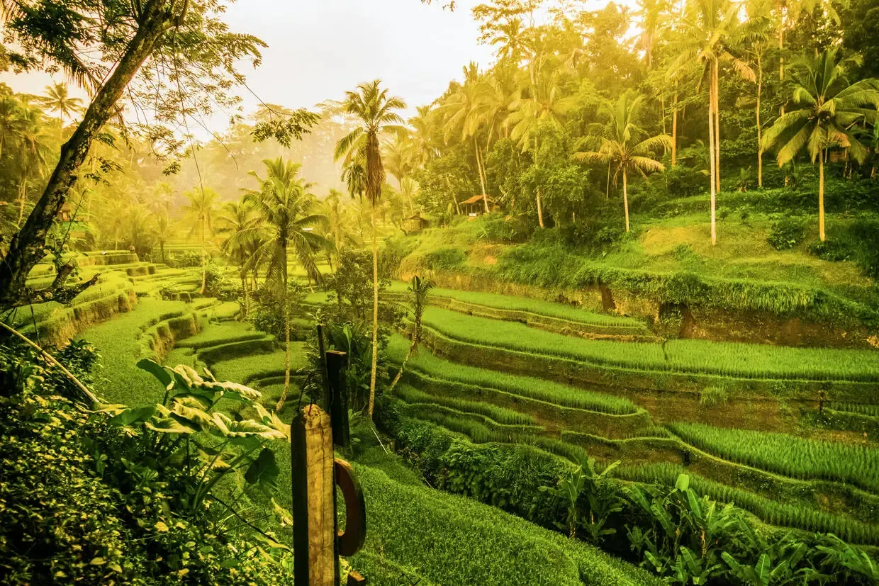 Bali : Circuit Rizières d'émeraude et lagons silencieux : Evasion à Bali et Nusa Lembogan