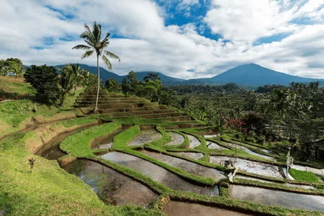 Bali : Circuit Secrets de Bali et Plage de Nusa Lembongan