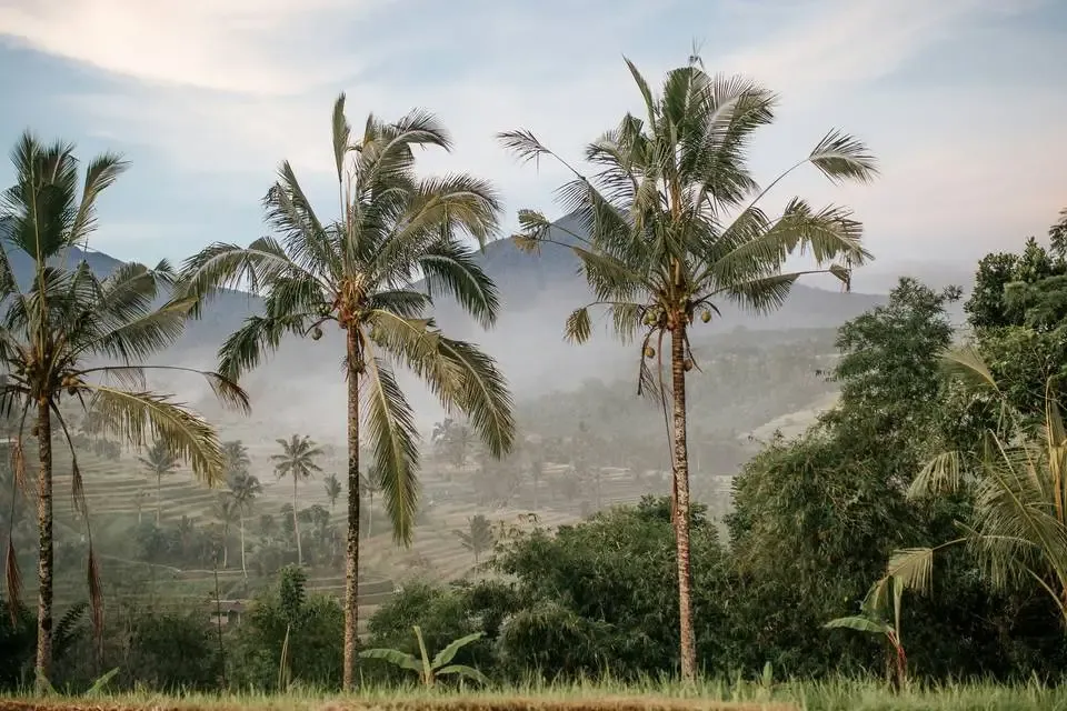 Bali : Circuit Sur la route des îles : Ubud, Candidasa et Lombok