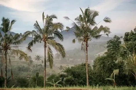Bali : Circuit Sur la route des îles : Ubud