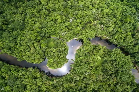 Bresil : Circuit De Rio à l'Amazonie - Limité à 18 pers.