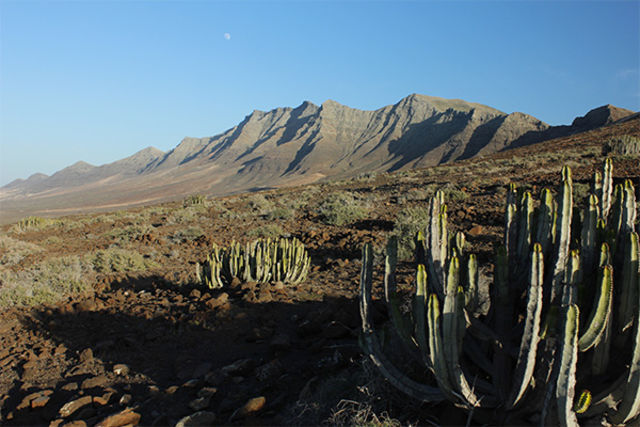 Canaries : Circuit Fuerteventura entre océan et terres sauvages - logement au Jumbo Bakour Fuerteventura La Pared