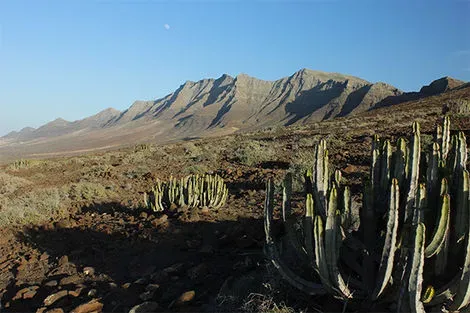 Canaries : Circuit Fuerteventura entre océan et terres sauvages - logement au Jumbo Bakour Fuerteventura La Pared