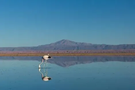 Chili : Circuit De l'infini d'Atacama aux légendes d'île de Pâques