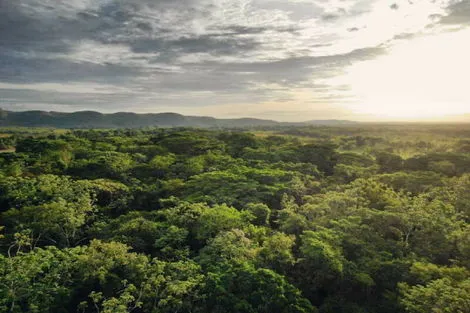 Colombie : Circuit Xperience Colombie & Amazonie Cano Cristales