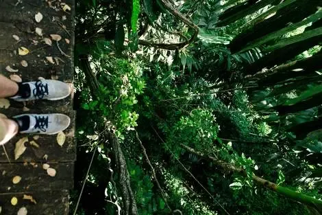 Costa Rica : Circuit Aventures aux pays des Ticos