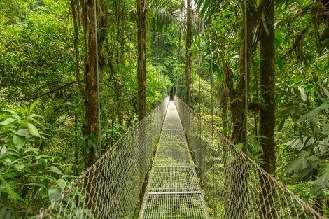 Costa Rica : Circuit Jungles et forêts 9 nuits