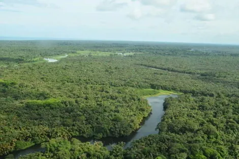 Costa Rica : Circuit Jungles Et Forets