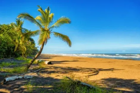 Costa Rica : Circuit Le Costa Rica en Liberté