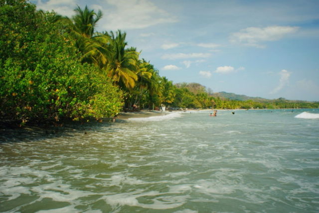 Costa Rica : Circuit Safari au Pays de l'Or Noir et plage de Samara
