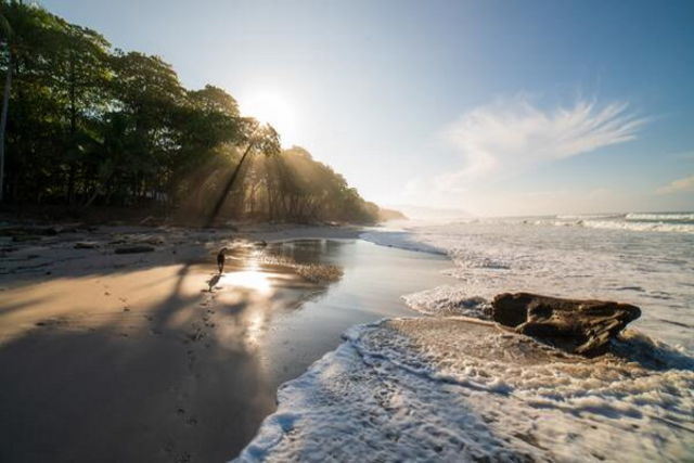 Costa Rica : Circuit Safari au Pays de l'Or Noir et plage de Tambor