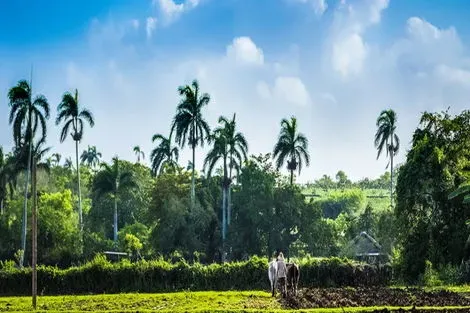 Cuba : Circuit Kappa Découverte - A la rencontre des Cubains & Extension Royalton Hicacos