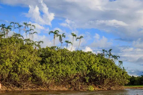 Equateur : Circuit L'Équateur entre nature et authenticité + pré-tour Amazonie (maximum 16 participants)