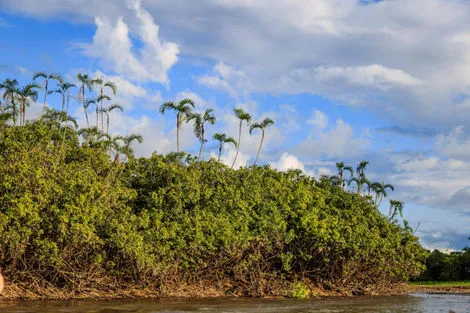 Equateur : Circuit L'Équateur entre nature et authenticité + pré-tour Amazonie