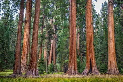 Etats-Unis : Circuit Merveilles de l'Ouest Américain