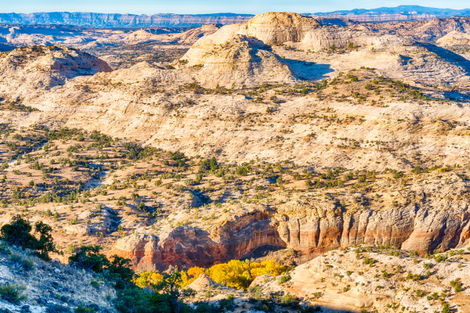 Etats-Unis : Circuit Richesses des Rocheuses à la Côte Pacifique