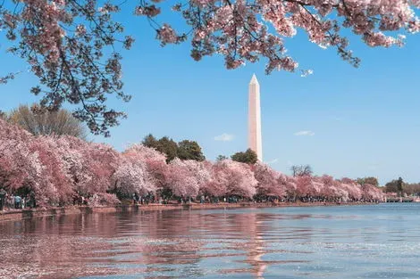 Etats-Unis : Circuit Capitales de l'Est Etats-Unis