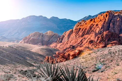 Etats-Unis : Circuit L'Amérique des Westerns (petit groupe)