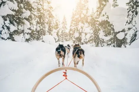 Finlande : Circuit Aventure polaire & Igloo en Finlande