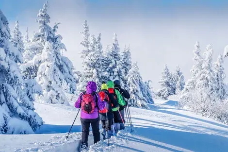 Finlande : Circuit Séjour Multi-activités à l'hôtel Sirkantahti