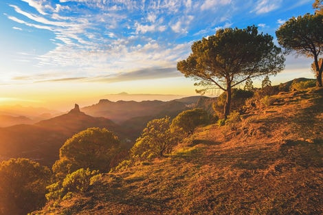 Grande Canarie : Combiné circuit et hôtel Charmes et nature de Grande Canarie, logement au Framissima Premium Princess Taurito + Extension Framissima Premium Princess Taurito